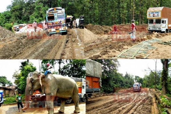Central Govt's Rs. 28 crores investment on muddy NH-8 (44) : Elephants are brought to push vehicles, massive stones, road construction theft  due to lack of security : CPI-M led State Govt. Corruption, lack of security hits Lowairpoa-Churaibari 